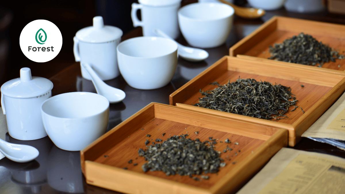 FOREST Chinese Premium Tea Series untuk menu teh premium