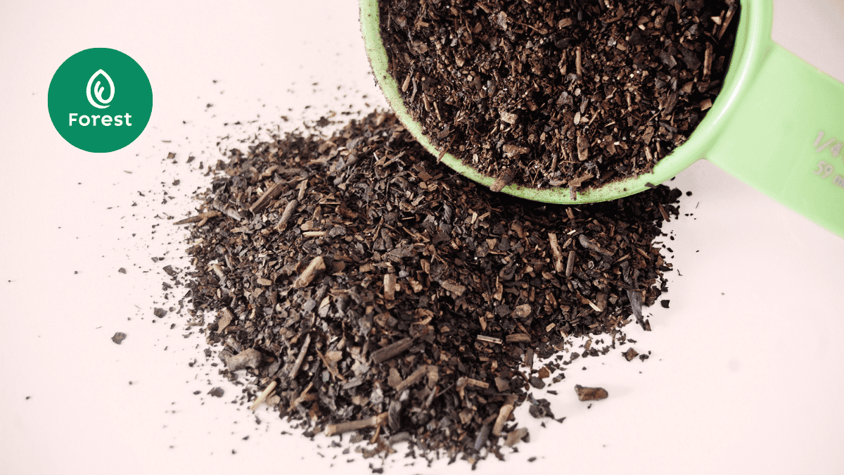 Sample premium tea powder FOREST untuk trial menu cafe